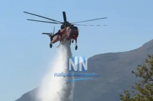 Φωτιά τώρα στην Αιτωλοακαρνανία: Ισχυρές δυνάμεις ανάμεσα σε Δρυμώνα και Κοσκινά – Σηκώθηκαν έξι εναέρια μέσα