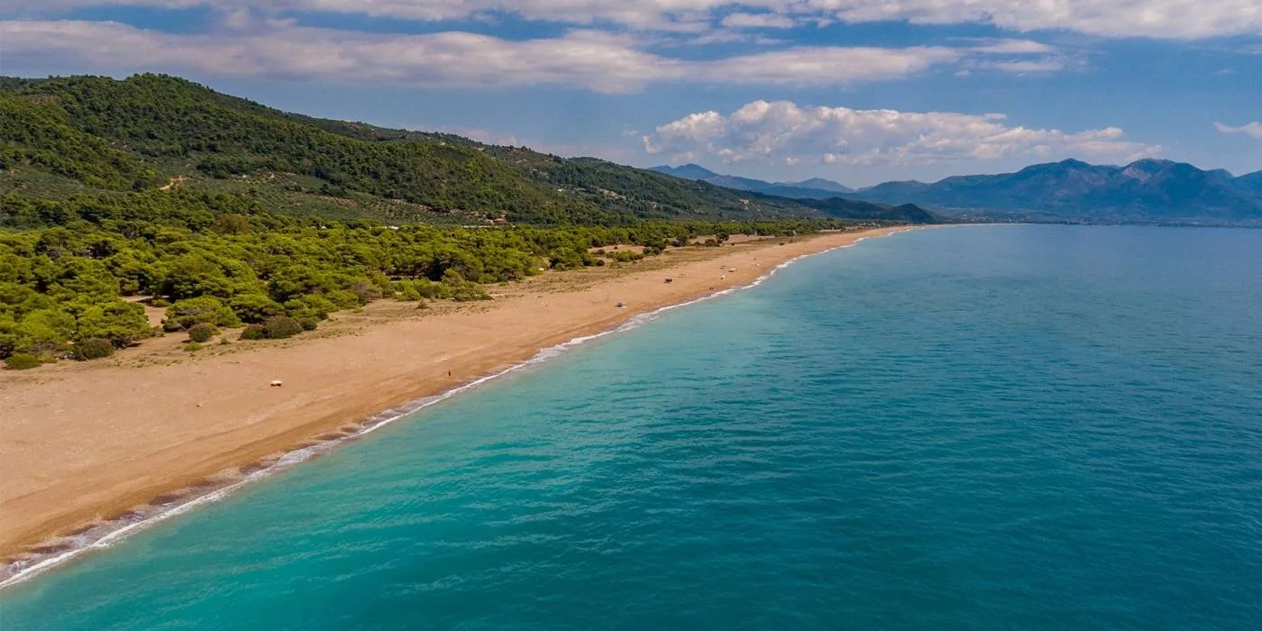 6 παραλίες με φυσική σκιά στην Πελοπόννησο Αεροφωτογραφία της μεγάλης αμμώδους παραλίας της Ελαίας στη Μεσσηνία, με το πευκοδάσος πίσω από την ακτή