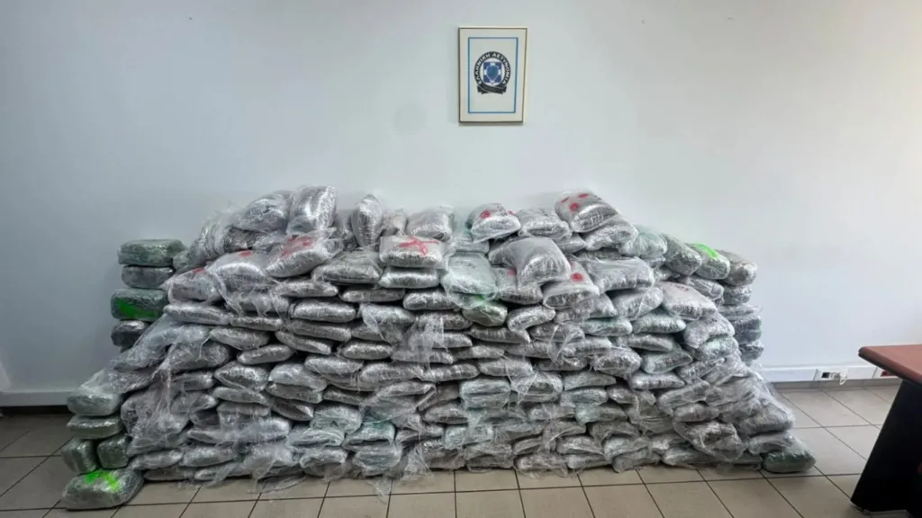 Θεσσαλονίκη: Έκρυβαν 324 κιλά κάνναβης σε φορτία ανακυκλώσιμου χαρτιού - Εξαρθρώθηκε διεθνική εγκληματική οργάνωση Θεσσαλονίκη: Έκρυβαν 324 κιλά κάνναβης σε φορτία ανακυκλώσιμου χαρτιού - Εξαρθρώθηκε διεθνική εγκληματική οργάνωση