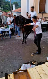 Λέσβος: Καταγγελία για άλογα που «χόρευαν» πάνω σε σπασμένα γυαλιά! Λέσβος: Καταγγελία για άλογα που «χόρευαν» πάνω σε σπασμένα γυαλιά!
