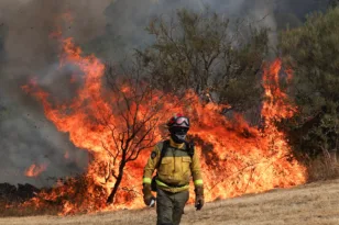 Βαλκάνια στις φλόγες με 40°C: Ένας νεκρός στη Σερβία, εκκενώσεις στην Αλβανία