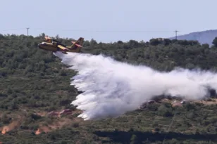 Λακωνία: Υπό μερικό έλεγχο η φωτιά στον Άγιο Νικόλαο
