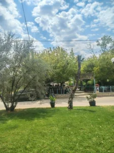 Ριζόμυλος–Νικολέικα–Ελίκη-Κερύνεια: Ενας τόπος που περιμένει το επόμενο βήμα - Το στοίχημα της αξιοποίησης