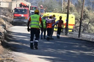 Φίχτια Αργολίδας: Καμένος κορμός καταπλάκωσε εργαζόμενο του ΔΕΔΔΗΕ την ώρα που αποκαθιστούσε το ρεύμα