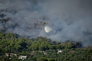 Εύβοια: Φωτιά στην Ιστιαία – Δύο αεροσκάφη στη μάχη με τις φλόγες