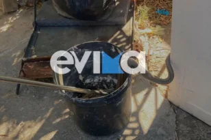 Εύβοια: Μεγάλο φίδι δύο μέτρων εντοπίστηκε σε αποθήκη σπιτιού