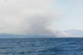 Φωτιά στη Φωκίδα: Μεγάλη κινητοποίηση στο Σκάλωμα – Εκκενώθηκαν τέσσερις περιοχές με μήνυμα 112