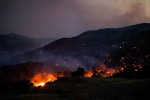 Καταγραφή ζημιών μετά τις πυρκαγιές στον Δήμο Αγίου Βασιλείου στο Ρέθυμνο