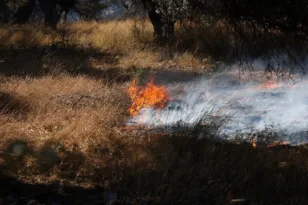 Φωτιά στην Πεντέλη: Συναγερμός στην οδό Αριστοφάνους – 32 πυροσβέστες στη μάχη
