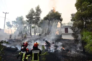 Φωτιά Αττικοβοιωτία: Όλα τα μέτρα στήριξης για τους πυρόπληκτους – Τα ποσά των επιδομάτων και η στεγαστική συνδρομή
