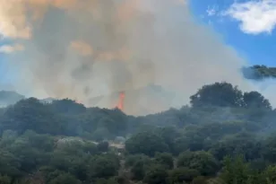 Διπλός συναγερμός στην Ηλεία: Φωτιές σε Δίβρη και Τραγανό – Μεγάλη κινητοποίηση