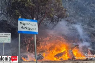 Ενισχυθήκαν οι δυνάμεις στην Κεφαλονιά, δίνουν μάχη τις αναζωπυρώσεις