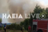 Ηλεία: Ενισχυθήκαν οι δυνάμεις στο Μουζάκι