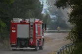 Φωτιά τώρα στη Μαμουλάδα: Σπεύδουν 18 πυροσβέστες με 9 οχήματα