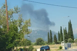 Τροιζήνα: Νέα φωτιά σε γεωργική έκταση – Κινητοποίηση της Πυροσβεστικής