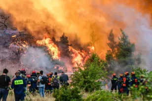 Η μεγάλη μάχη στην Ψάθα, δραματικές ώρες με το πύρινο μέτωπο, 112 για εκκενώσεις