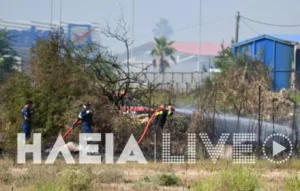 Γαστούνη-Κοττέικα: Χωρίς ενεργό μέτωπο, επιχειρήσαν 60 πυροσβέστες με ομάδα πεζοπόρου τμήματος της 18ης ΕΜΟΔΕ, εθελοντές και 13 οχήματα, 6 αεροσκάφη και δύο ελικόπτερα Γαστούνη-Κοττέικα: Χωρίς ενεργό μέτωπο, επιχειρήσαν 60 πυροσβέστες με ομάδα πεζοπόρου τμήματος της 18ης ΕΜΟΔΕ, εθελοντές και 13 οχήματα, 6 αεροσκάφη και δύο ελικόπτερα