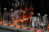 Γυάλινες φιάλες κρασιών και οινοπνευματωδών ποτών διαφορετικού σχεδιασμού