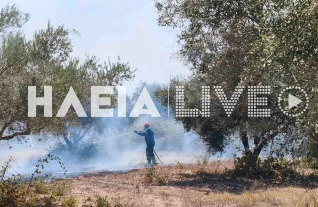 Ηλεία: Οριοθετήθηκε η φωτιά στο Χάβαρι Ηλεία: Οριοθετήθηκε η φωτιά στο Χάβαρι