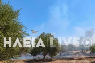 Ηλεία: Οριοθετήθηκε η φωτιά στο Χάβαρι
