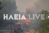 Ηλεία: Δασοκομαντος και Τσέχοι πυροσβέστες στη μάχη για τη φωτιά ΒΙΝΤΕΟ