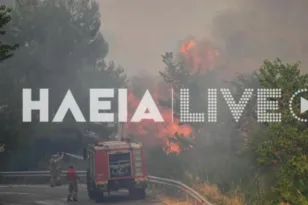 Ηλεία: Δασοκομαντος και Τσέχοι πυροσβέστες στη μάχη για τη φωτιά ΒΙΝΤΕΟ