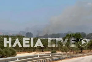 Γαστούνη-Κοττέικα: Χωρίς ενεργό μέτωπο, επιχειρήσαν 60 πυροσβέστες με ομάδα πεζοπόρου τμήματος της 18ης ΕΜΟΔΕ, εθελοντές και 13 οχήματα, 6 αεροσκάφη και δύο ελικόπτερα Γαστούνη-Κοττέικα: Χωρίς ενεργό μέτωπο, επιχειρήσαν 60 πυροσβέστες με ομάδα πεζοπόρου τμήματος της 18ης ΕΜΟΔΕ, εθελοντές και 13 οχήματα, 6 αεροσκάφη και δύο ελικόπτερα