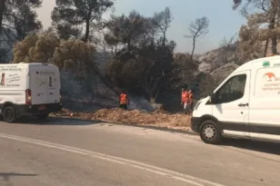 Μέλη του ΔΙΚΕΠΑΖ σε επιχείρηση διάσωσης ζώων στις πυρόπληκτες περιοχές γύρω από το Πόρτο Γερμενό