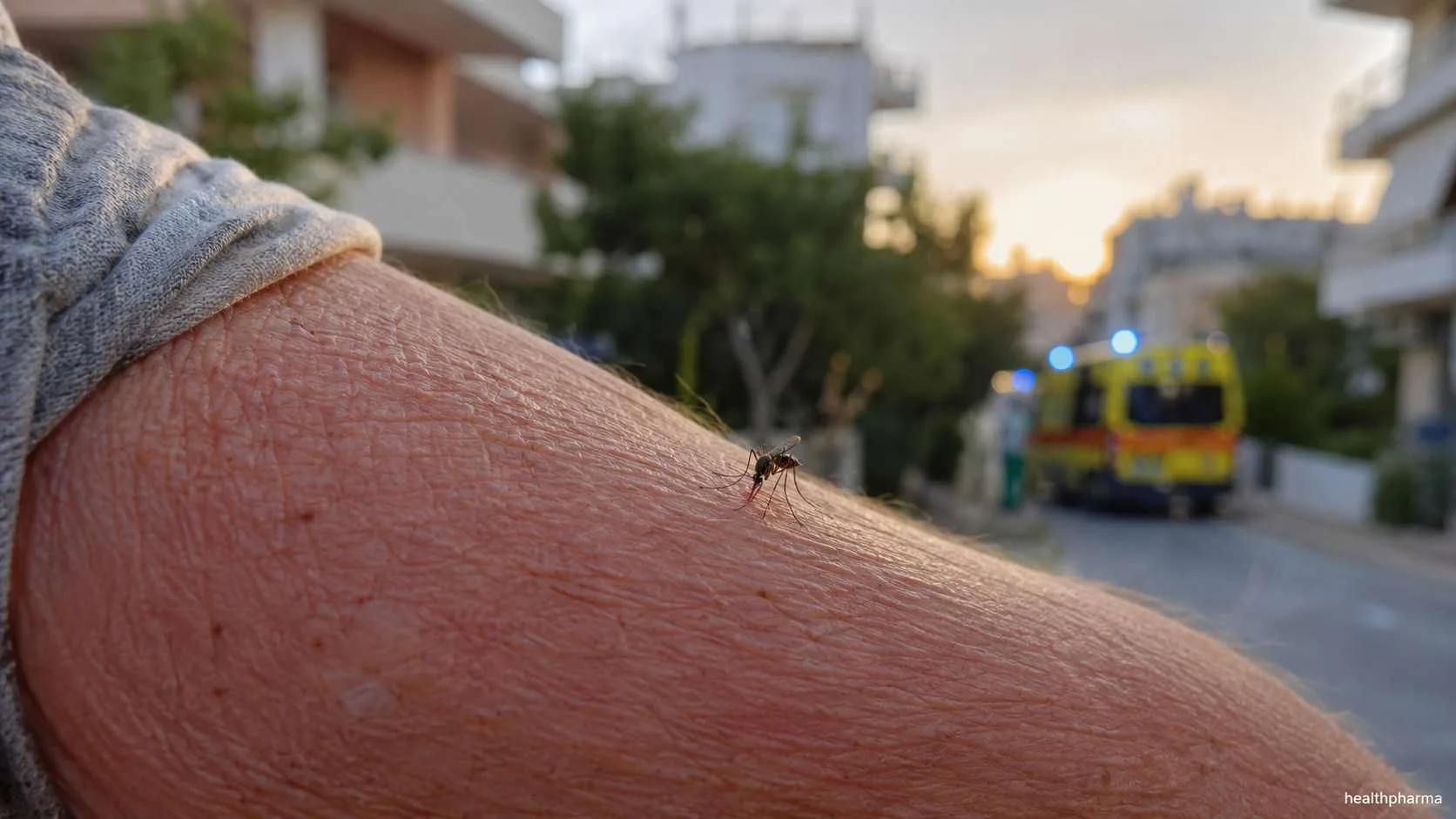 Ιός του Δυτικού Νείλου: Γιατί αυξήθηκαν τα κρούσματα