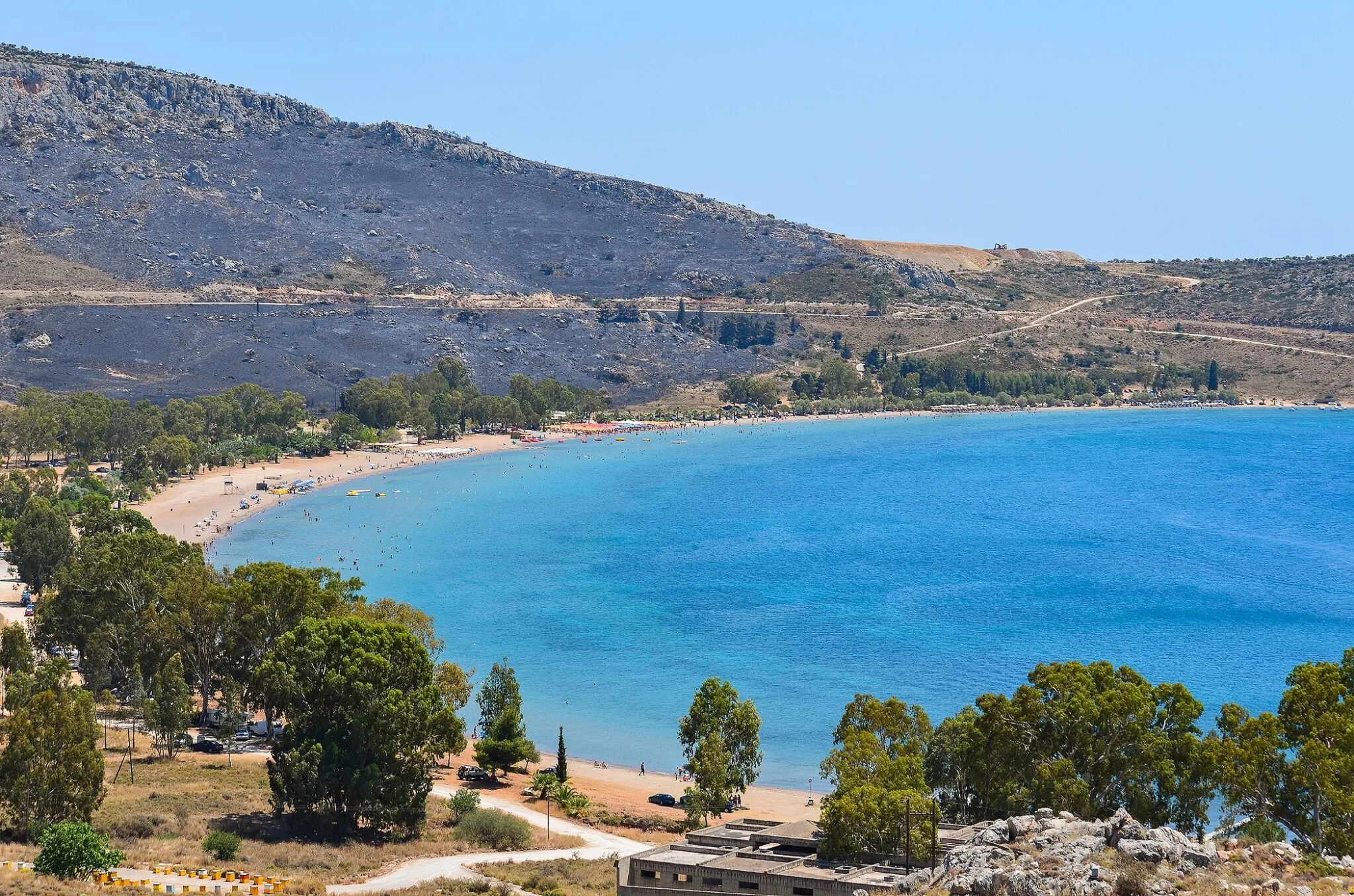 6 παραλίες με φυσική σκιά στην Πελοπόννησο Πανοραμική άποψη της αμμώδους παραλίας Καραθώνα με λουόμενους και ευκαλύπτους κατά μήκος της ακτής