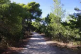 Πάτρα: €490.000 για τη βελτίωση των δρόμων σε Καρκαλό και Κακότραχο Άνω Καστριτσίου