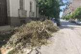 Πότε θα μαζευτουν τα κλαδιά ;