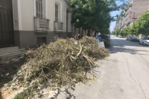 Πότε θα μαζευτουν τα κλαδιά ;