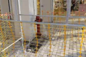 Στην Πάτρα στο κέντρο υπάρχει διακοπή υδροδότησης, αλλά στην Αγίου Νικολάου το νερό τρέχει ασταμάτητα! ΦΩΤΟ
