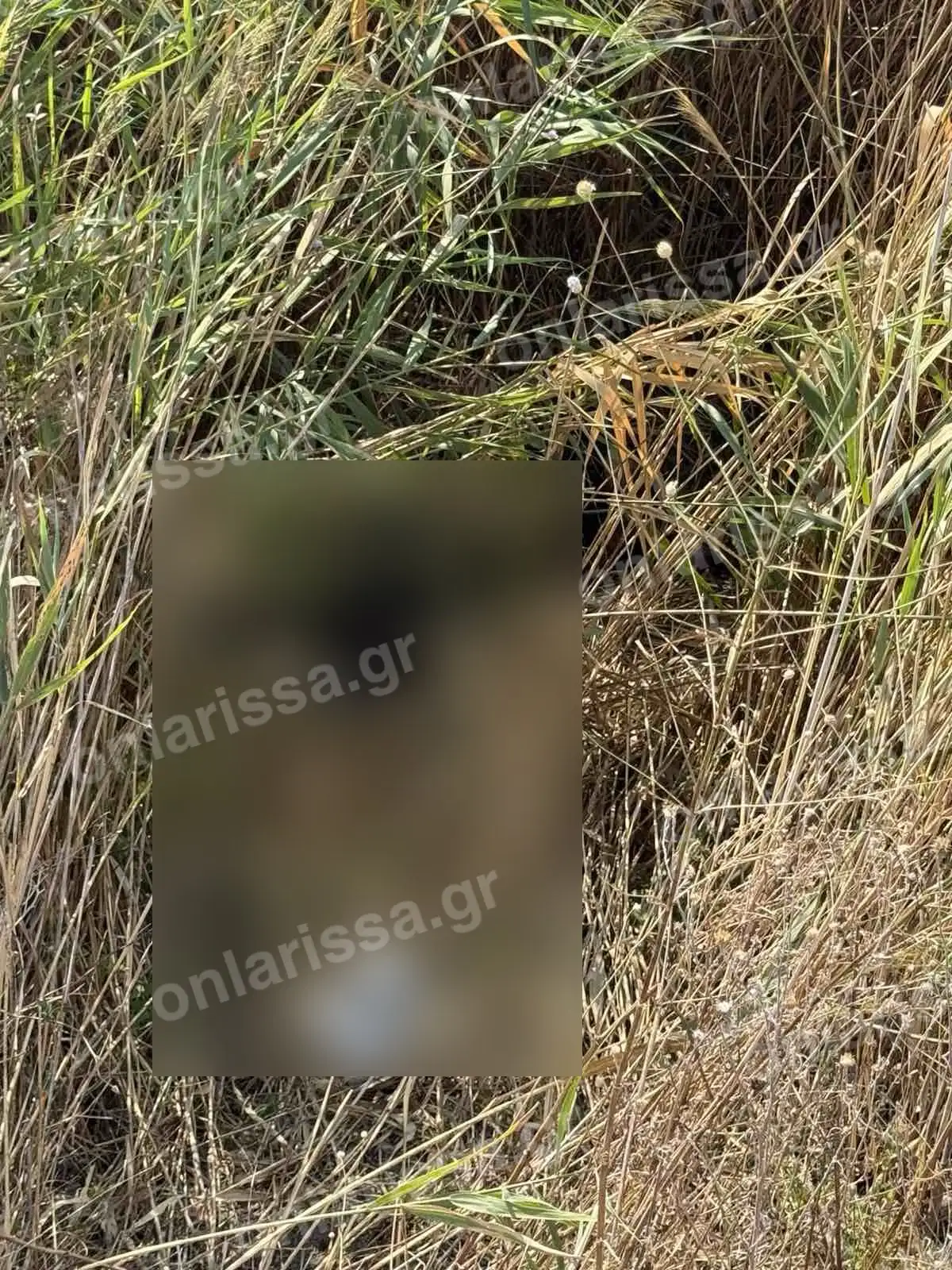 Λάρισα: Νεκρή βρέθηκε η 72χρονη που αγνοούνταν για 17 ημέρες – Εντοπίστηκε σε τάφρο κοντά στο σπίτι της Λάρισα: Νεκρή βρέθηκε η 72χρονη που αγνοούνταν για 17 ημέρες – Εντοπίστηκε σε τάφρο κοντά στο σπίτι της