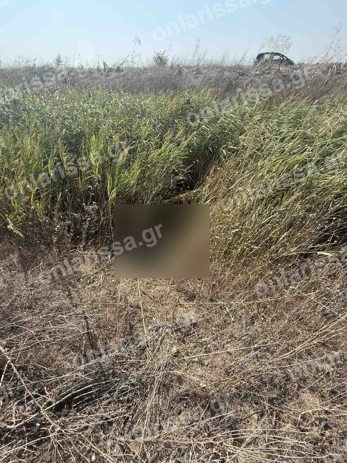 Λάρισα: Νεκρή βρέθηκε η 72χρονη που αγνοούνταν για 17 ημέρες – Εντοπίστηκε σε τάφρο κοντά στο σπίτι της