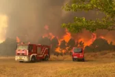 Ηλεία: Συναγερμός για φωτιά στο Μουζάκι, σηκώθηκαν εναέρια