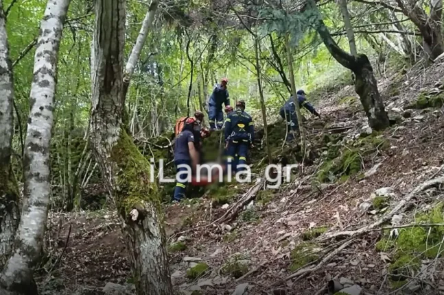 Ευρυτανία: Αγροτικό έπεσε σε γκρεμό 50 μέτρων – Επιχείρηση της 7ης ΕΜΑΚ για τον απεγκλωβισμό δύο τραυματιών