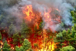 Φωτιές LIVE: Εφιαλτική κατάσταση στο Πόρτο Γερμενό, η φωτιά έχει χαρακτηριστικά Megafire – Νέα μέτωπα σε Φωκίδα και Αμφιλοχία