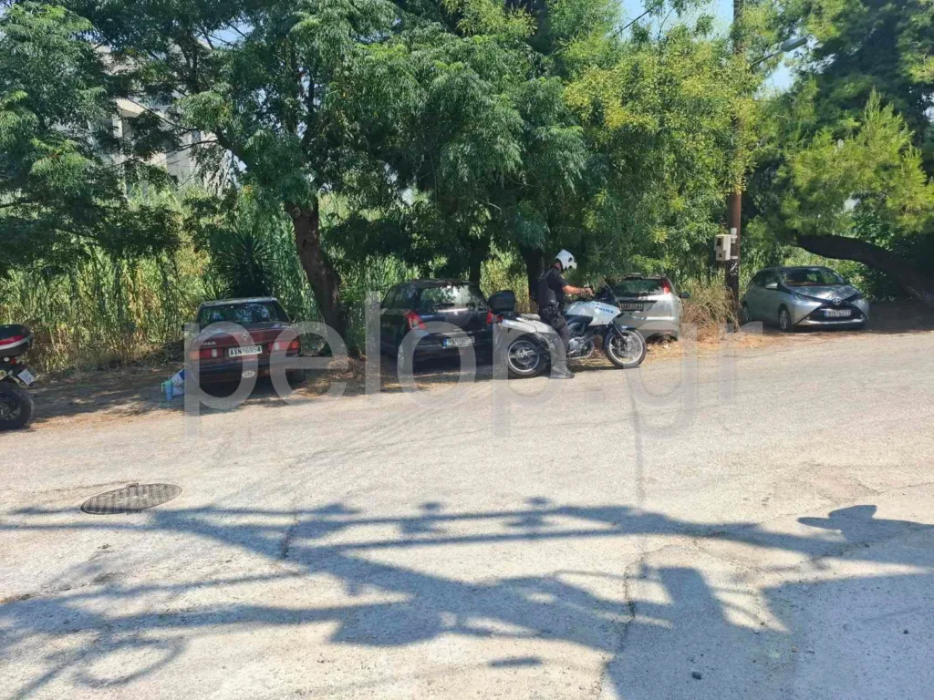 Πάτρα: Δέντρο έπεσε πάνω σε αυτοκίνητο με γυναίκα και παιδί - Παραλίγο τραγωδία στην Αγυιά ΒΙΝΤΕΟ