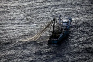 Οι μηχανότρατες μπορεί να μετακινηθούν στον Πατραϊκό – Η προειδοποίηση νέας μελέτης