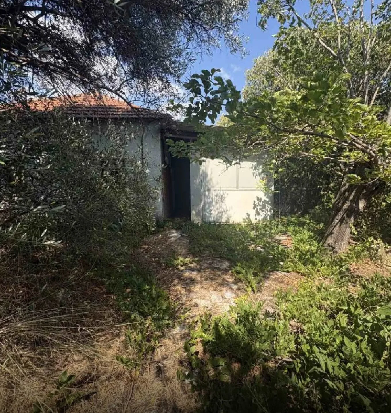 &Tau;&sigma;&iota;&lambda;&iota;&alpha;&delta;ό&rho;&omicron;&iota;, &nu;&alpha;&rho;&kappa;&omega;&tau;&iota;&kappa;ά, 30.000 &epsilon;&upsilon;&rho;ώ &kappa;&alpha;&iota; &sigma;&upsilon;&lambda;&lambda;ή&psi;&epsilon;&iota;&sigmaf; &alpha;&pi;ό &tau;&eta;&nu; &Epsilon;&Lambda;&Alpha;&Sigma; &sigma;&epsilon; &Mu;&epsilon;&sigma;&sigma;ή&nu;&eta;, &Kappa;&alpha;&lambda;&alpha;&mu;ά&tau;&alpha;