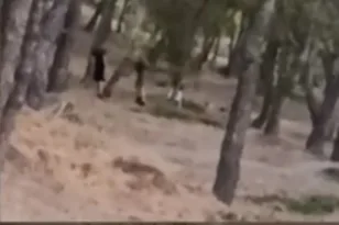 Πεντελικό: Βίντεο δείχνει ανήλικους να βάζουν φωτιά σε πευκοδάσος – Τους αναζητά η Πυροσβεστική