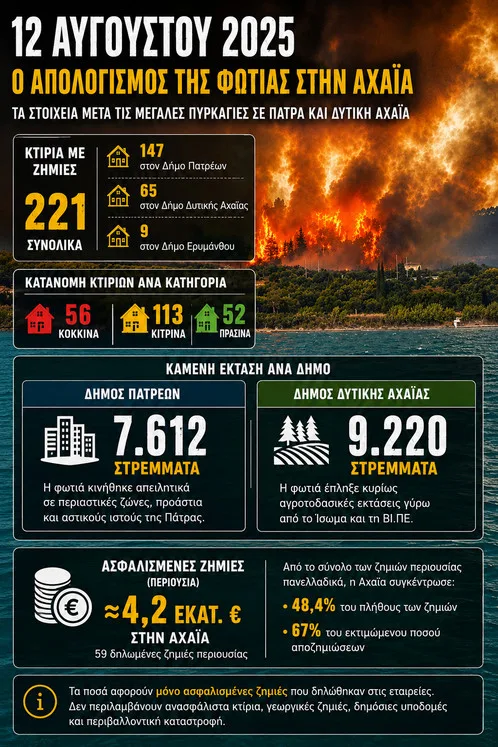 Ένας χρόνος από τις καταστροφικές πυρκαγιές σε Πάτρα και Δυτική Αχαΐα: Ο βαρύς απολογισμός Ένας χρόνος από τις καταστροφικές πυρκαγιές σε Πάτρα και Δυτική Αχαΐα: Ο βαρύς απολογισμός