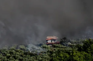 Πόρτο Γερμενό και Βοιωτία στις φλόγες: Σπίτια κάηκαν, μαζικές εκκενώσεις, άνθρωποι απομακρύνθηκαν διά θαλάσσης