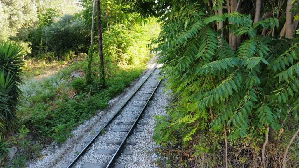 Αγυιά: Οι γραμμές του Προαστιακού πνίγηκαν στα χόρτα – Ανησυχία για τον κίνδυνο πυρκαγιάς Αγυιά: Οι γραμμές του Προαστιακού πνίγηκαν στα χόρτα – Ανησυχία για τον κίνδυνο πυρκαγιάς