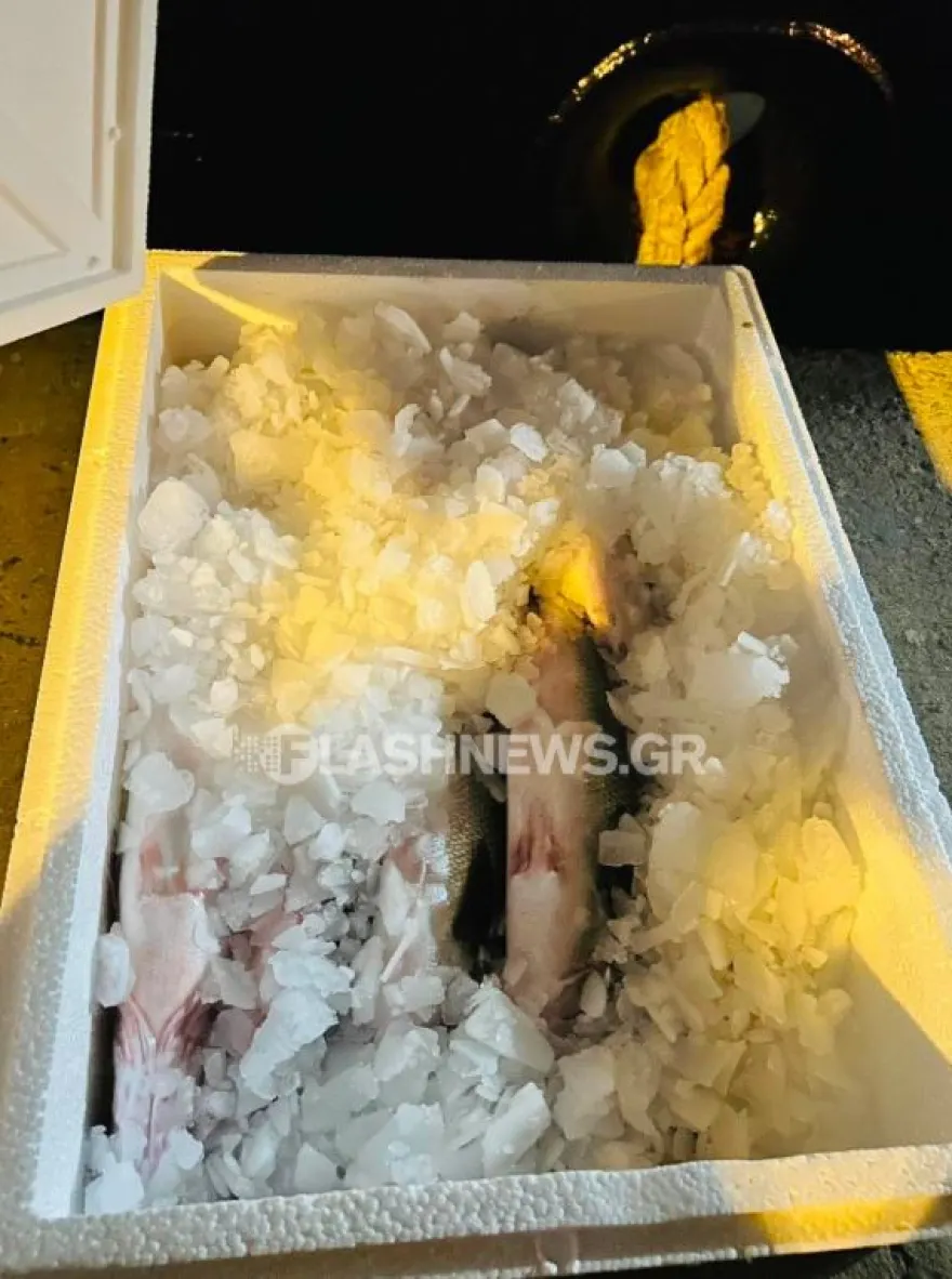 210 κιλά ψάρια, δύο σκάφη και βουτιά διαφυγής: Η νυχτερινή καταδίωξη στη Σούδα