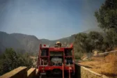 «Red Code» για πυρκαγιές σήμερα Δευτέρα: Στο «κόκκινο» Αττική και ακόμη 11 περιοχές - Υψηλός κίνδυνος και στη Δυτική Ελλάδα