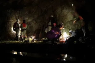 Το πλάσμα που ζει 1,3 χλμ. κάτω από τη Γη: Το «σκουλήκι του διαβόλου» και το μυστικό της αντοχής του