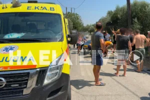 Τρομερό τροχαίο με γουρούνα στον δρόμο Μυρτιάς-Αγίου Ηλία, ΦΩΤΟ